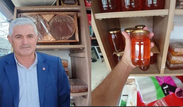 Diyarbakır’da Arıcılar Krizde: Arılar yandı, arıcılar sahipsiz kaldı