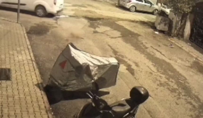 Kedinin üstünden geçen panelvanın sürücüsü gözaltına alındı