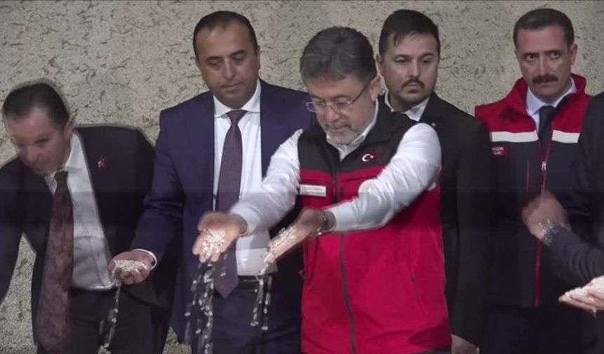 Tarım Bakanı Yumaklı, kuru fasulye hasadına katıldı