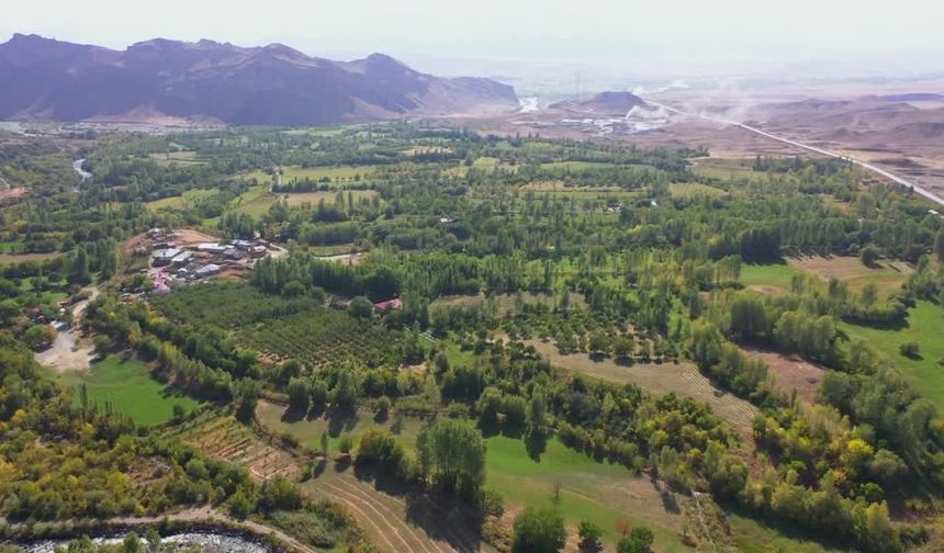 Kars’ın sıfır noktasında 3 çeşit elma üretimi yüz güldürüyor