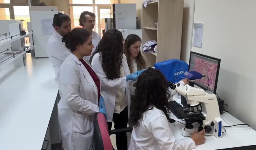 Yerli bilimden dikkat çeken krem: yaraların iyileşmesine destek olabilir