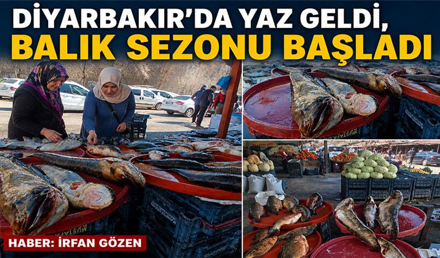 Diyarbakır'da yaz geldi, balık sezonu başladı