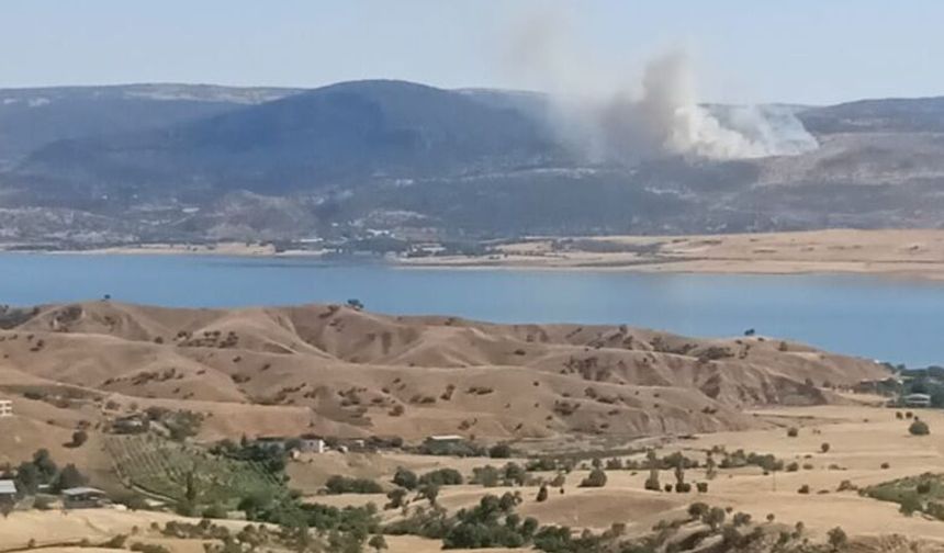 Silvan'da Dağlık Alanda Yangın: Kaniya Spî Bölgesinden Dumanlar Yükseliyor