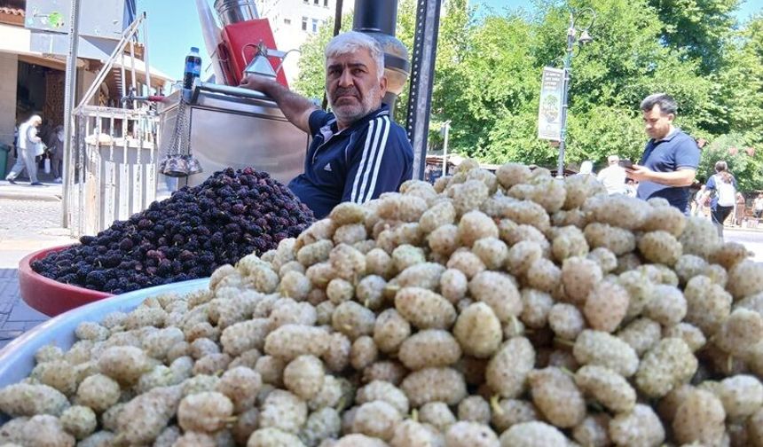 Tarihi Hevsel Bahçeleri’nden Toplanan Dutlar Tezgâhlara Düştü