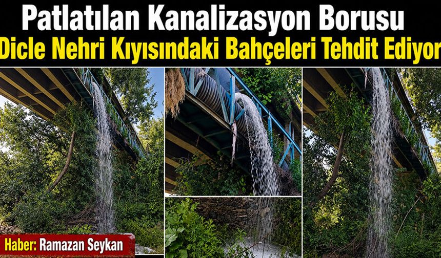 Patlayan kanalizasyon borusu Dicle Nehri Kıyısındaki Bahçeleri tehdit ediyor