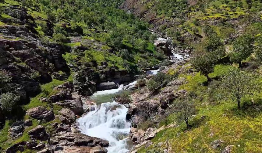 Balkaya’da yükselen debi doğayı başka renge bürüdü
