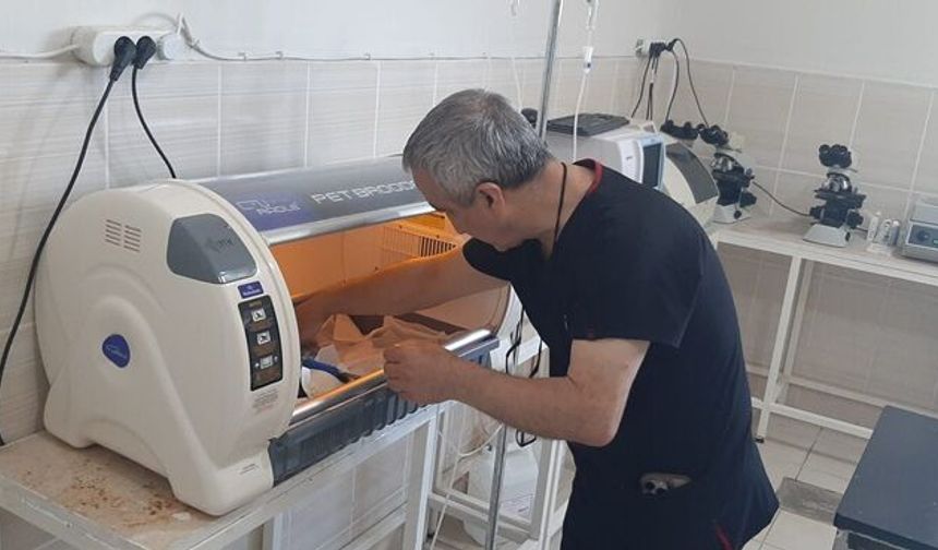 Dicle Üniversitesi Hayvan Sağlığında Teknoloji Üssü Oluyor