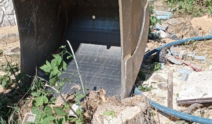 Meşe Derneği'nden Muş Gar Sahası'ndaki Ağaç Kesimine Tepki
