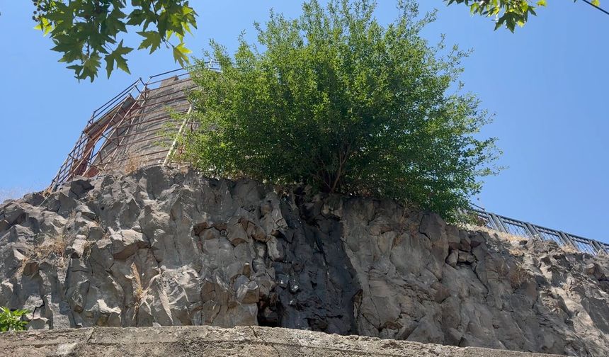 Keçi Burcu'ndan Sular Süzüldü Yaşam Yeşerdi
