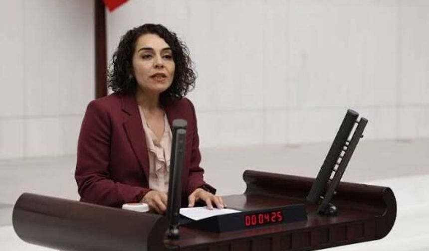 Sağır ve CODA Bireylerin Sorunları Meclis Gündeminde