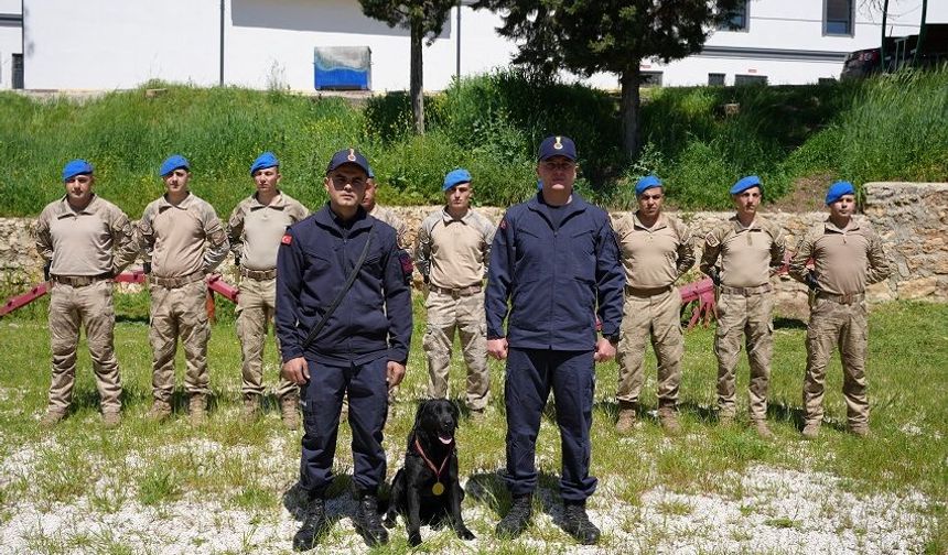 Jandarmanın iz takip köpeği "Becet" emekliye ayrıldı