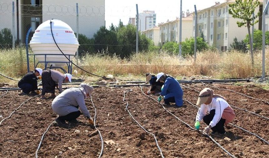 Diyarbakır’da Kadınlar dayanışmayla üretiyor