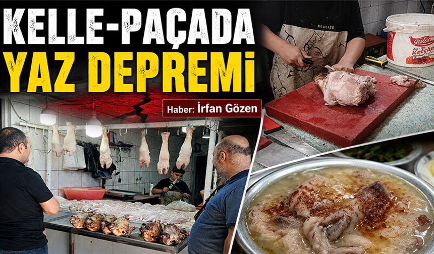 Kelle-Paçada Yaz Depremi