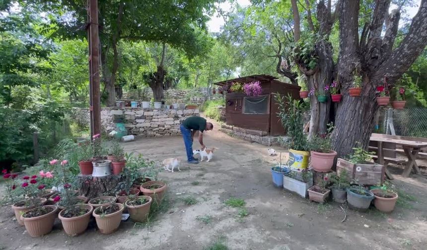Elazığ’da turistik işletme yerine sahipsiz hayvanlara huzur adası kurdu