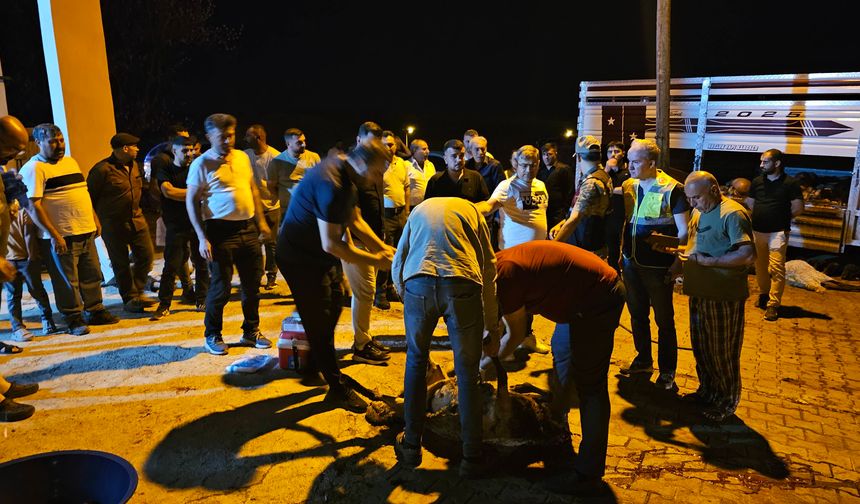 Rögardan sızan sudan zehirlendiği ileri sürülen 32 küçükbaş hayvan telef oldu