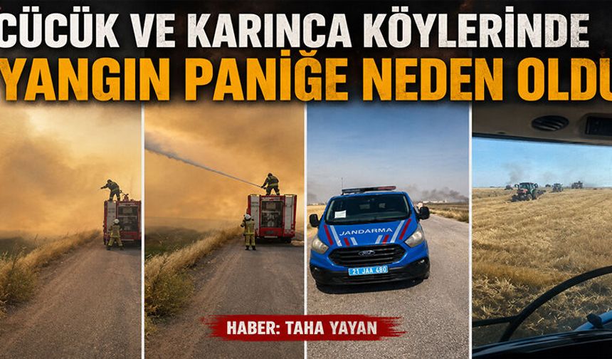 Cücük ve Karınca Köylerinde yangın paniğe neden oldu