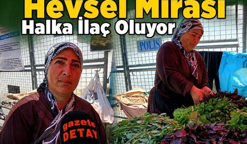8 Bin Yıllık Hevsel Mirası Halka İlaç Oluyor