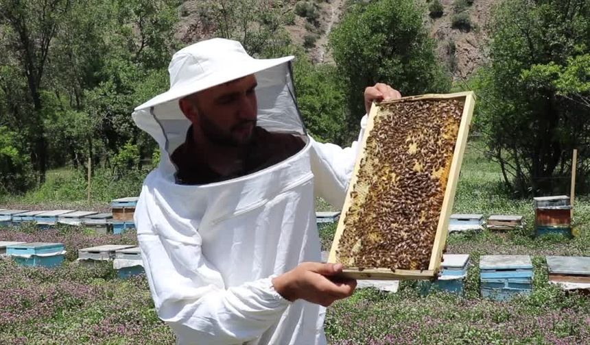 Kato Dağı’nın eteklerinde üretilen bala dünyadan talep