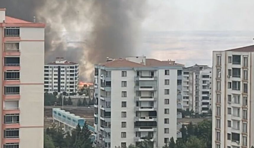 Diyarbakır Bağlar'da Anız Yangınına İtfaiye Müdahale Ediyor