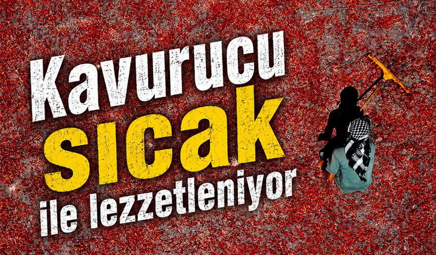 Şanlıurfa'nın kavurucu sıcağı biberleri lezzetlendiriyor