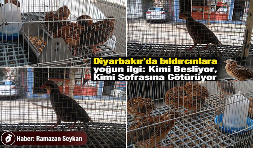 Kimi Besliyor, Kimi Sofrasına Götürüyor
