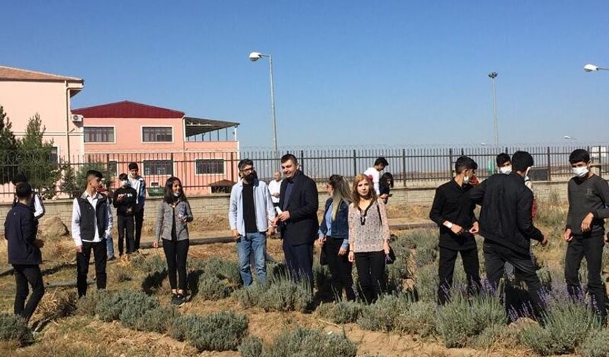 Dicle Üniversitesi’nden Bölge Tarımına Bilimsel Destek