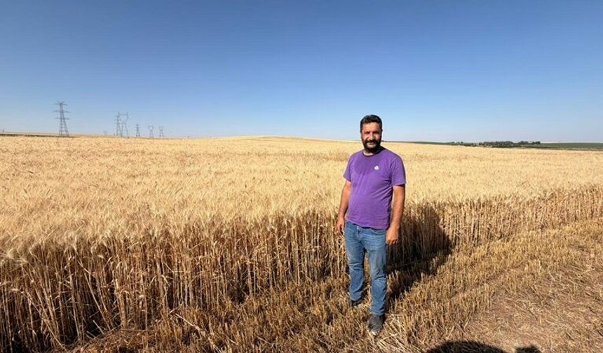 Diyarbakırlı Çiftçiler Enerji ve Yangın Sorununa Çözüm Bekliyor