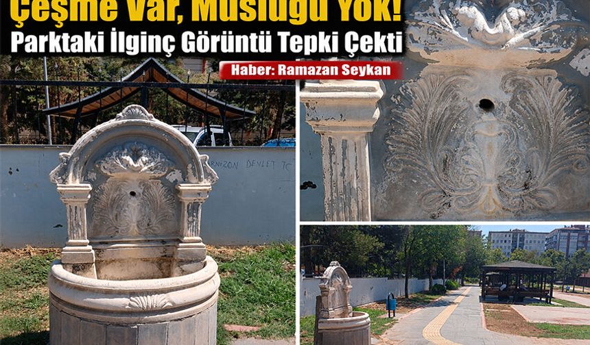 Çeşme Var, Musluğu Yok! Parktaki İlginç Görüntü Tepki Çekti