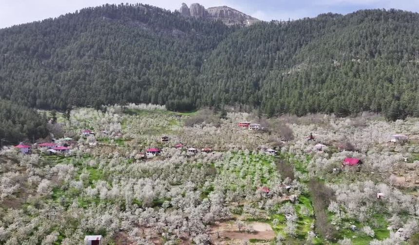 Deneme aşısıyla başlayan üretim temel gelir kaynağına dönüştü