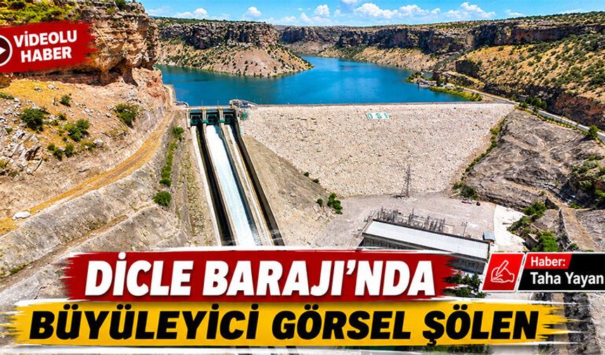 Dicle Barajı’nda büyüleyici görsel şölen