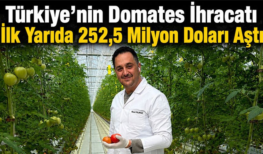 Türkiye'nin Domates İhracatı İlk Yarıda 252,5 Milyon Doları Aştı