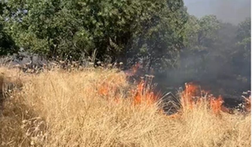 Hani İlçesinde Orman Yangını Devam Ediyor
