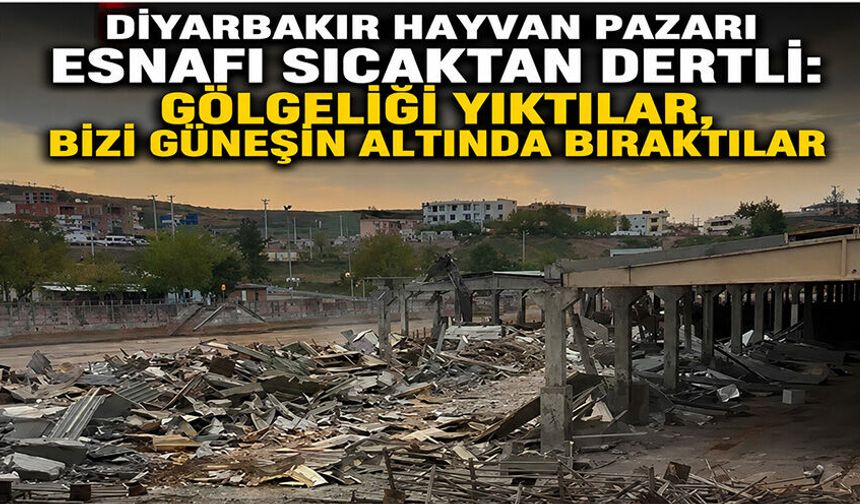 Diyarbakır Hayvan Pazarı Esnafı Sıcaktan Dertli