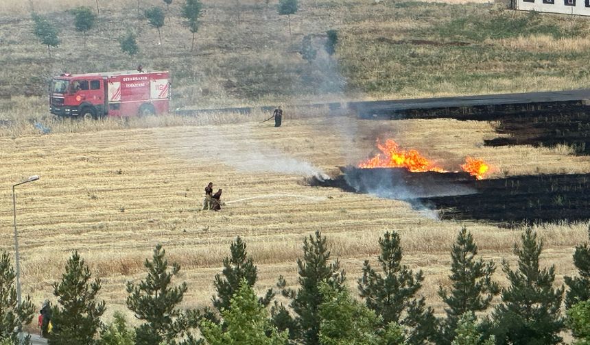 Kayapınar'da Tarlayı Ateşe Verip Kaçtılar
