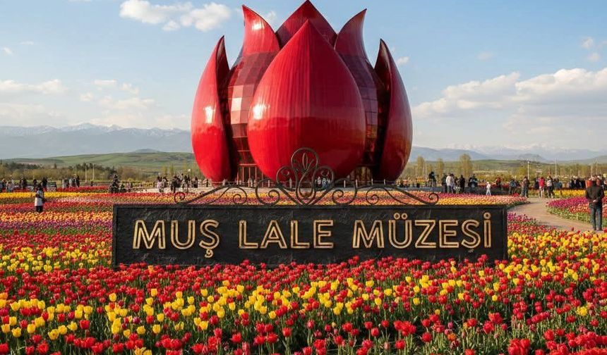 Muş İçin "Lale Müzesi" Projesi Yeniden Gündemde
