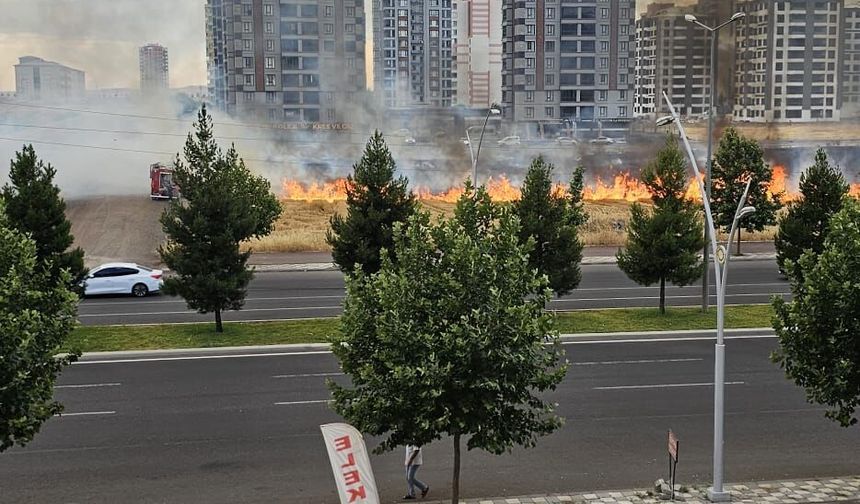 Diyarbakır Alarm Veriyor: Anız Yangınlarına Bir Yenisi Daha Eklendi