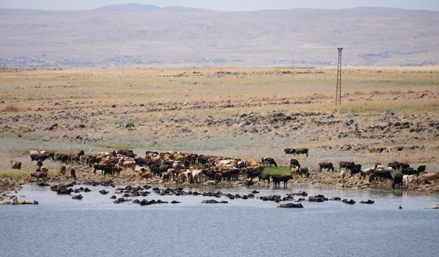 Karacadağ'da Su Krizi Çözüldü: 3 Köye Can Suyu