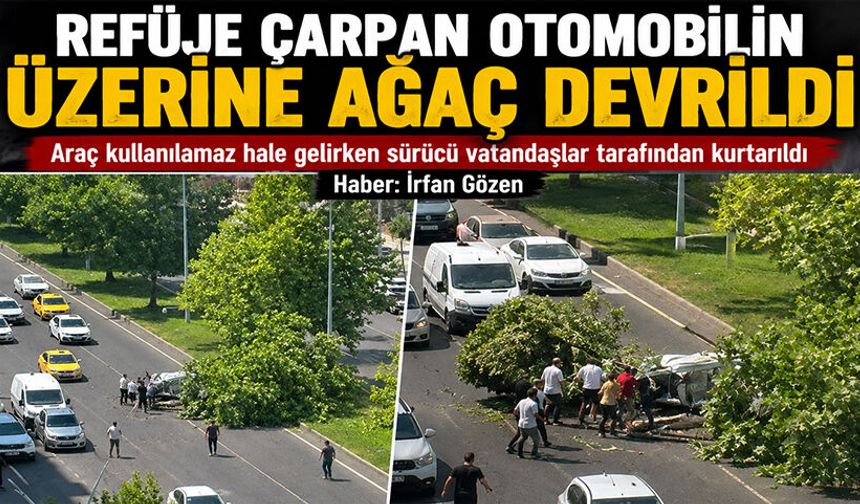 Refüje Çarpan Otomobilin Üzerine Ağaç Devrildi
