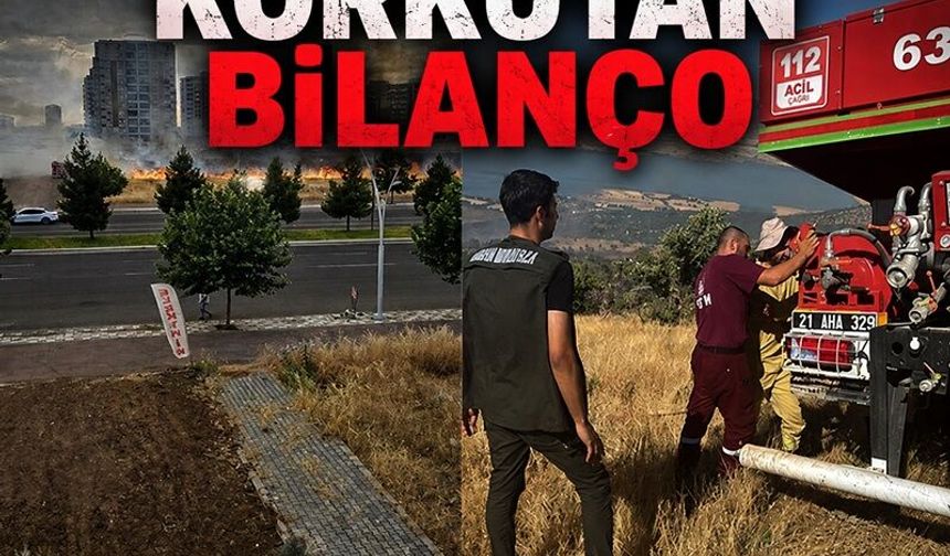Diyarbakır’da korkutan bilanço: 1 ayda 350 anız yangını!