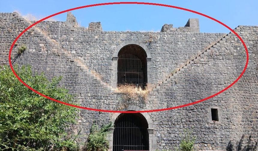 Restore Edildi, Otlara Teslim Oldu