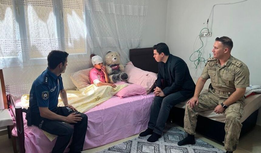 Şanlıurfa'da sahipsiz köpeklerin saldırısına uğrayan 8 yaşındaki çocuk yaralandı