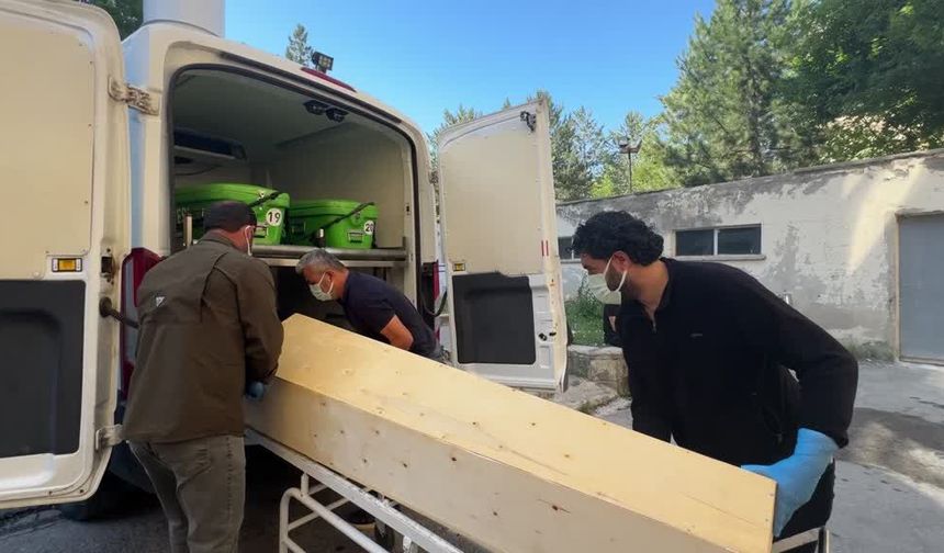 Kene tutunmasının ardından başlayan tedavi süreci sonuçsuz kaldı