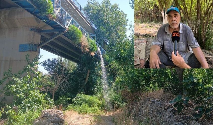 8 Bin Yıllık Tarihi Hevsel Bahçeleri Lağım Tehdidi Altında
