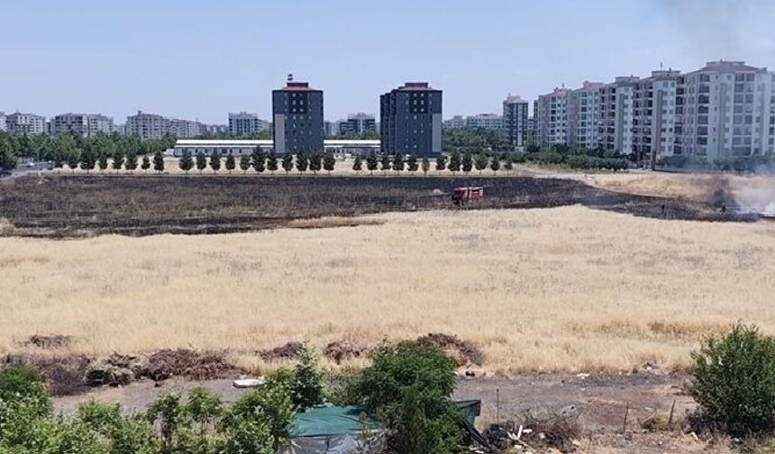 Diyarbakır'da Boş Arazide Anız Yangını: İtfaiye Müdahale Etti