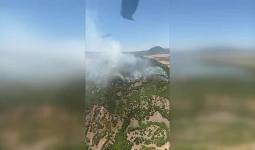 Karakoçan'da ormanlık alanda çıkan yangın söndürüldü