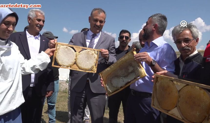 Ağrı’da tescilli geven balında 357 ton verim bekleniyor