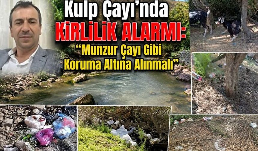 Kulp Çayı’nda kirlilik alarmı: “Munzur Çayı gibi koruma altına alınmalı”