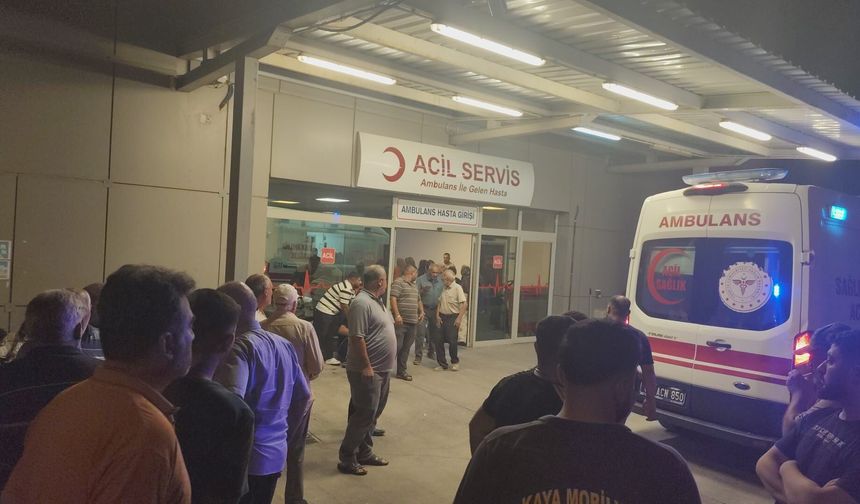 Birecik’te iki otomobil çarpıştı: 3 kişi yaşamını yitirdi
