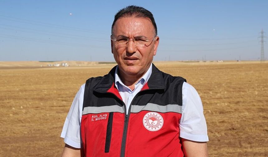 Güneydoğu'da anız yangınlarıyla mücadele sonuç veriyor