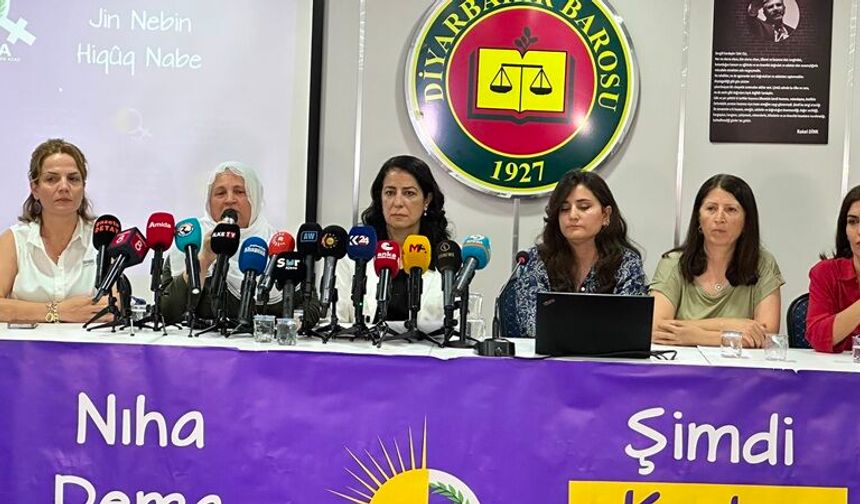 Ayla  Akat: "Çerve Yasa Tarihsel Bir Sürecin İlk Adımı"